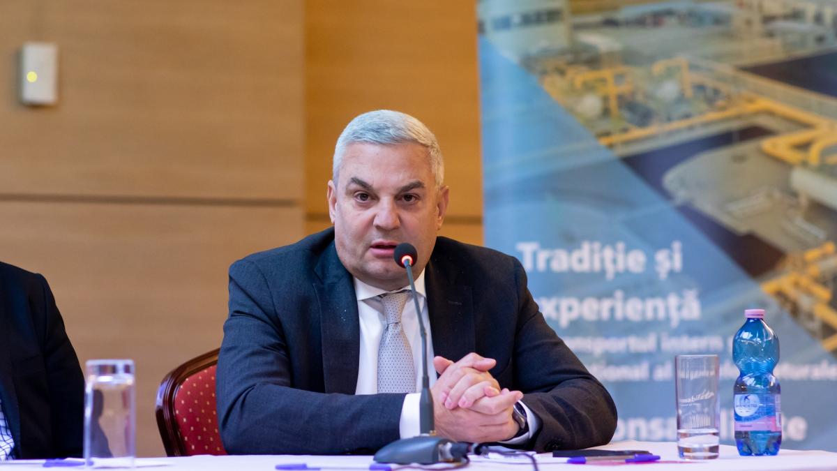 tinu-bebesanu_13107400