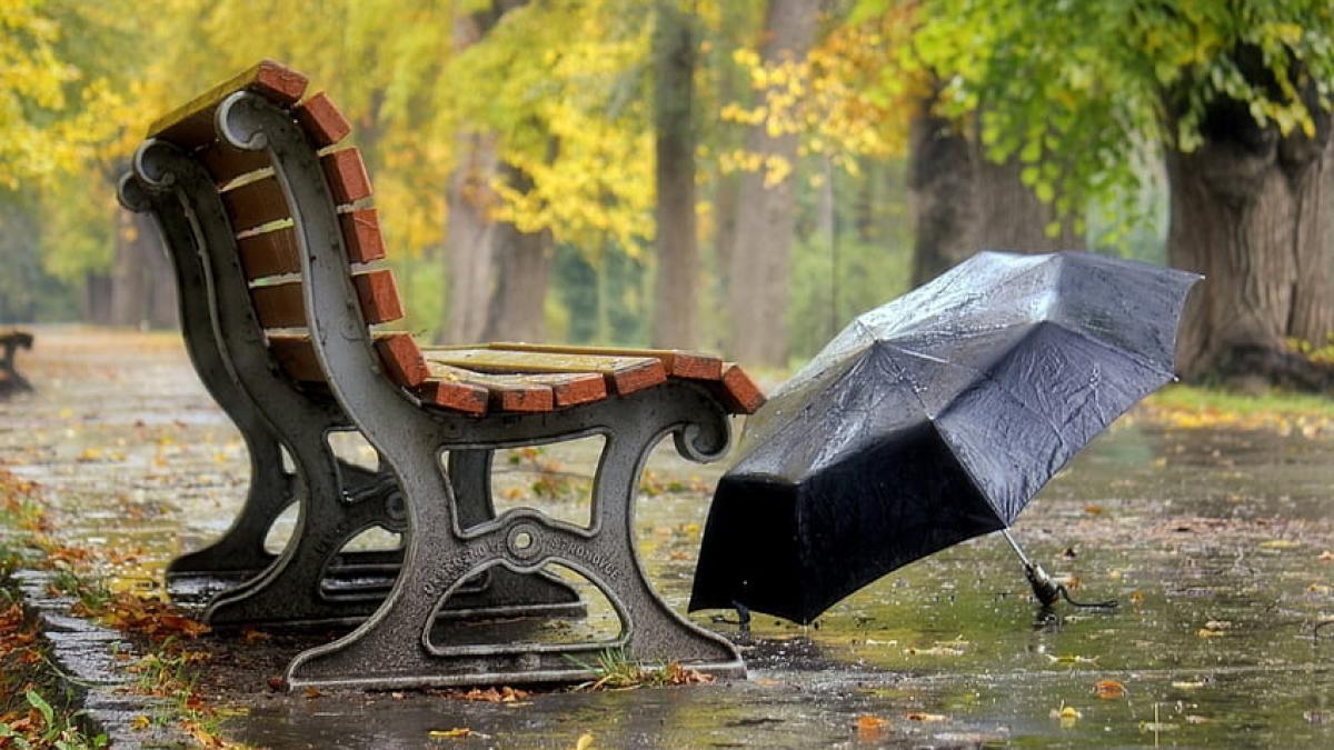 ploaie-umbrela_59860500