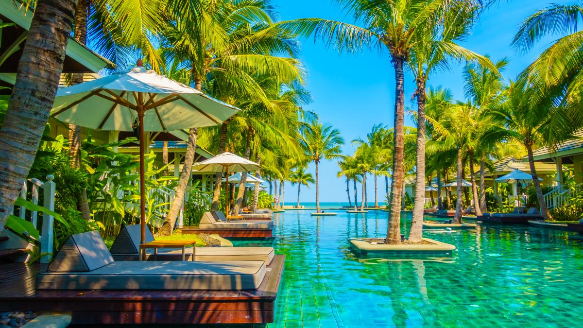 house-landscape-pool-relaxation-garden_82166100