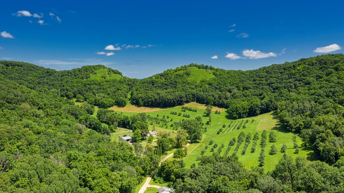 pexels-tomfisk-2789098_91811700