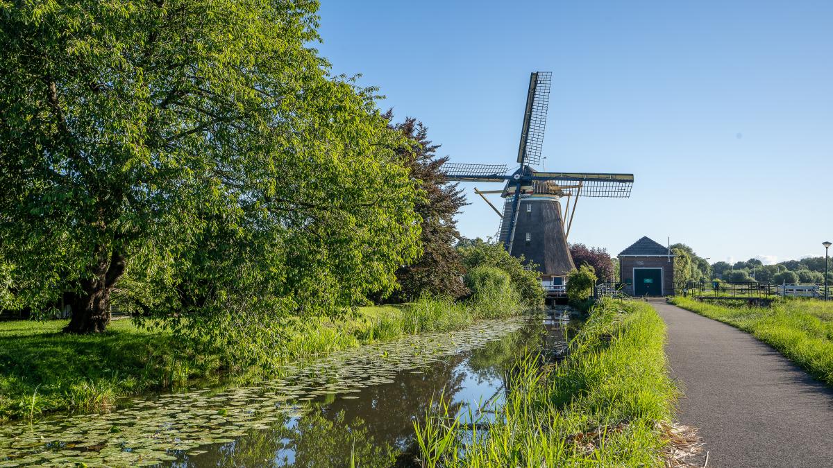 beautiful-shot-windmills-kinderdijk-netherlands_80042600
