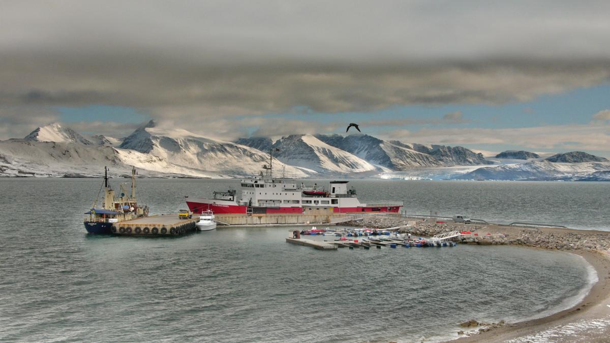 svalbald2_10159100