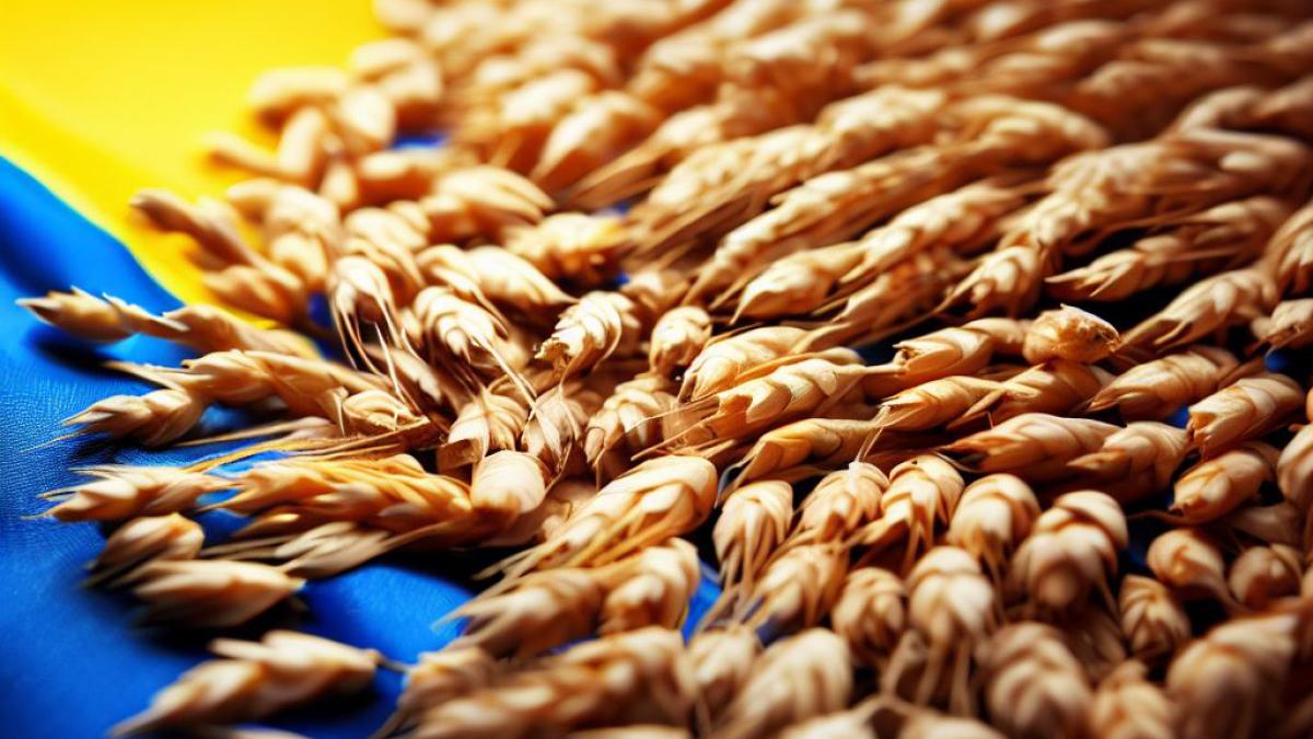 cereale-ukraina_22738800