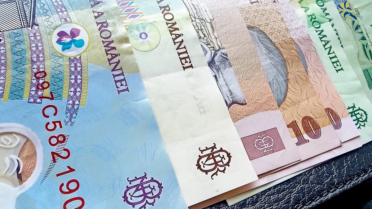 bani-lei-bancnote_58108400