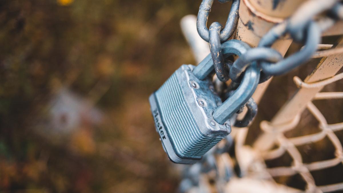 pexels-erik-mclean-5688464_97374800