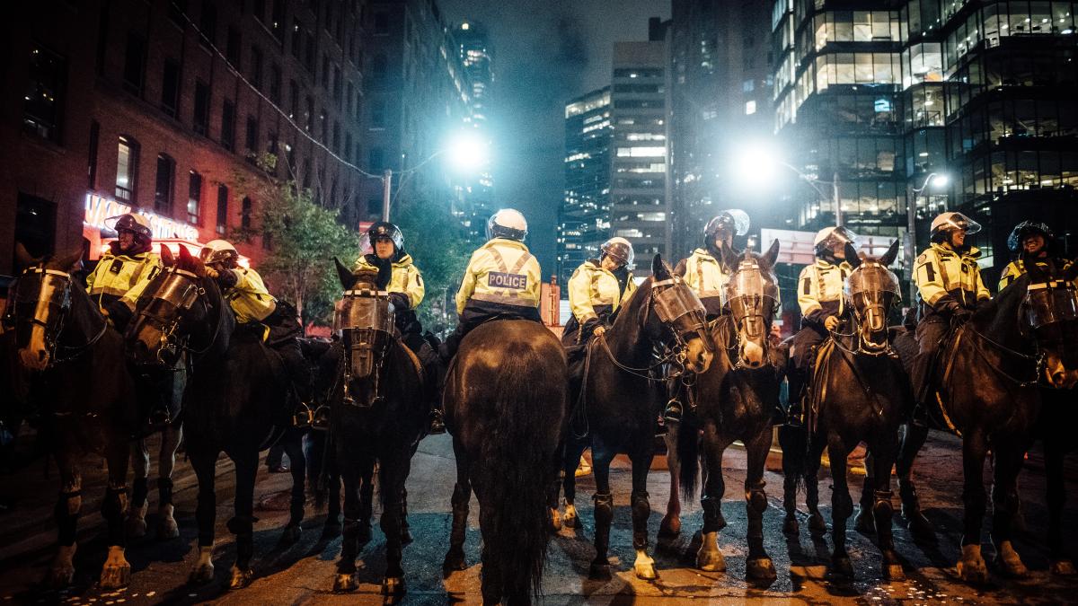 pexels-harrison-haines-2834173_20403800