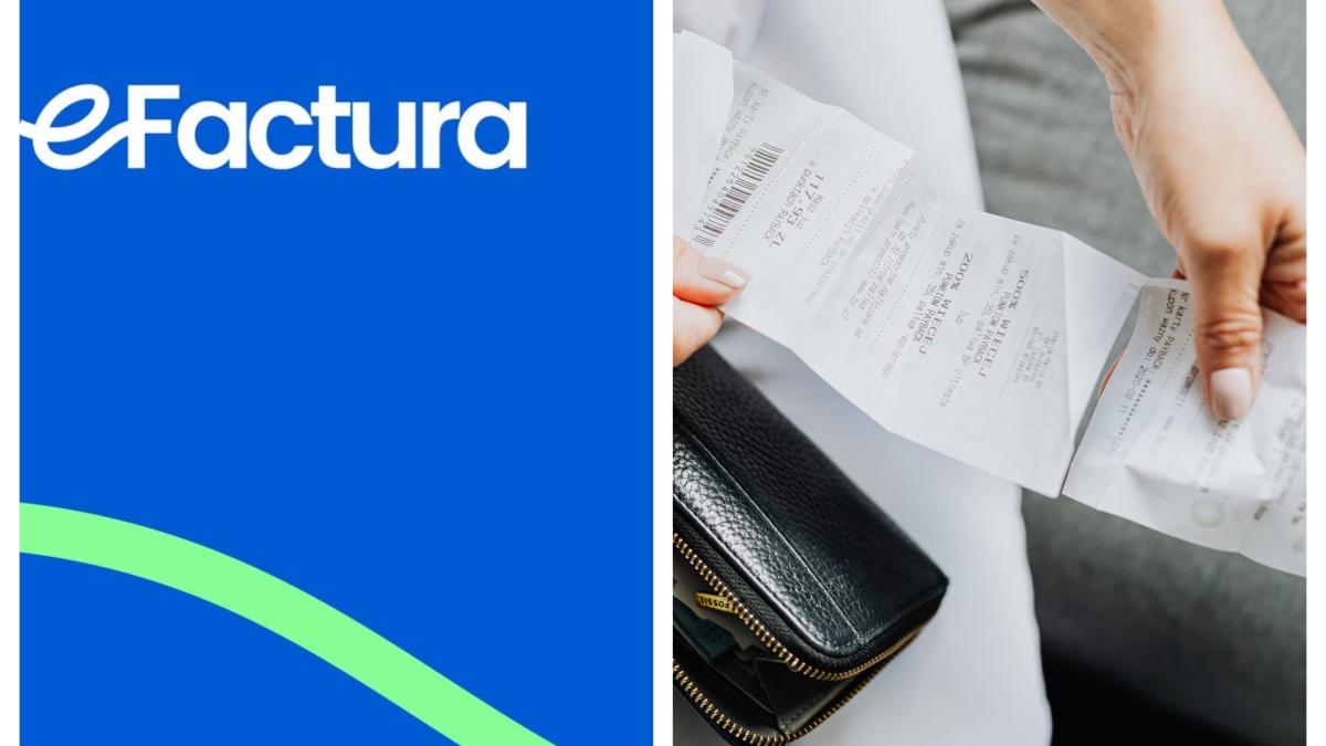 efactura2025_48342200