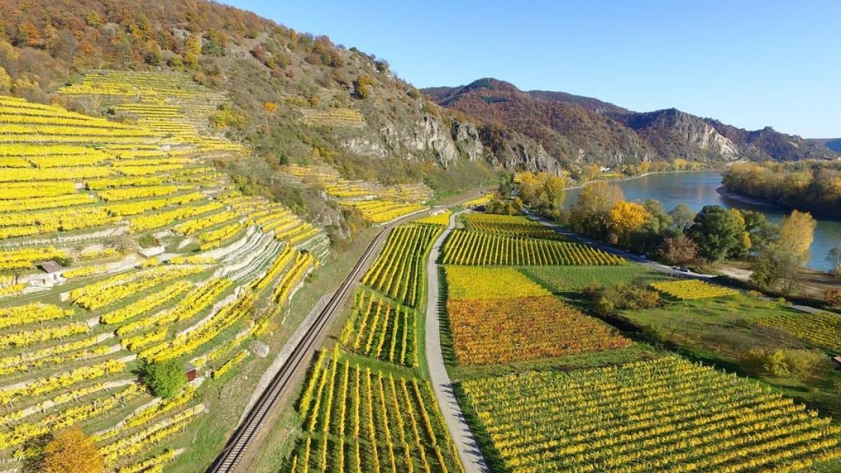 podgorie-pe-valea-rinului_90174900