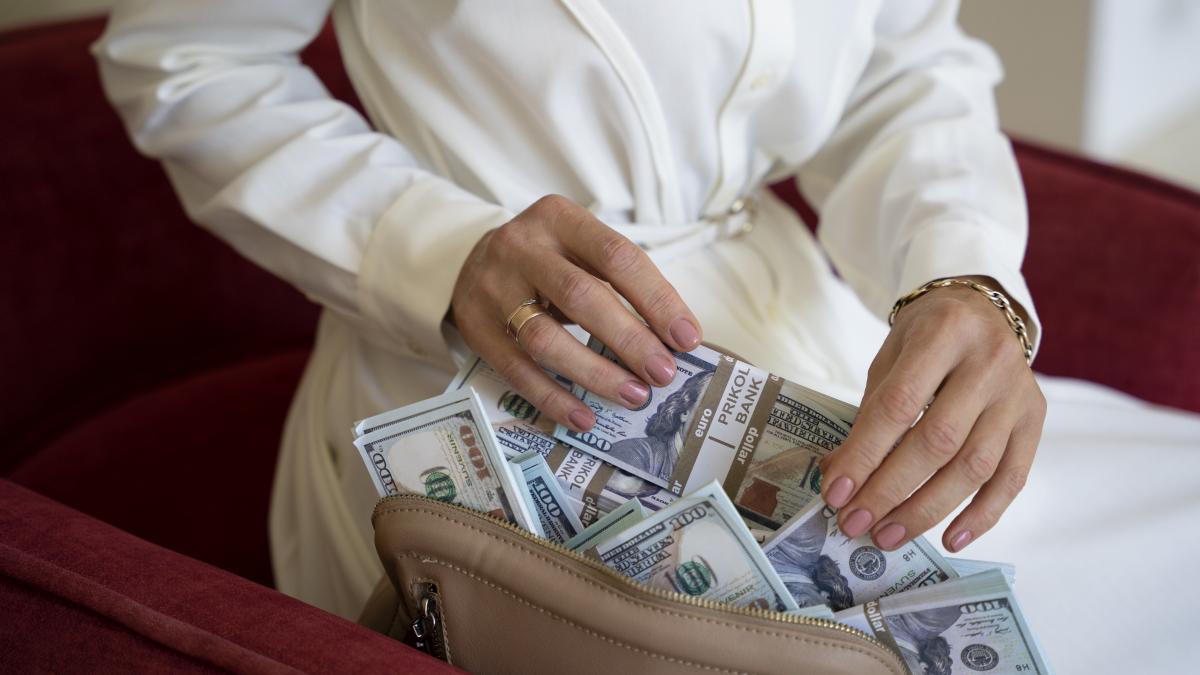 bani-femeie-poseta_06031500