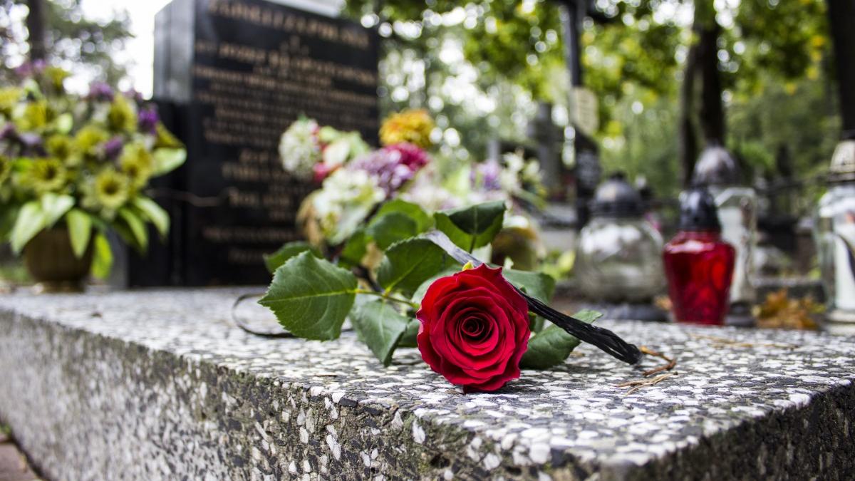 cimitir_floare_mormant_60297800