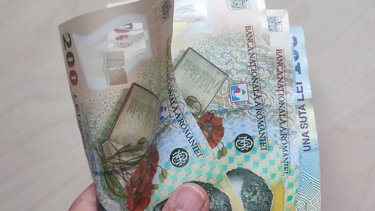 bani-bancnote-lei_10488000