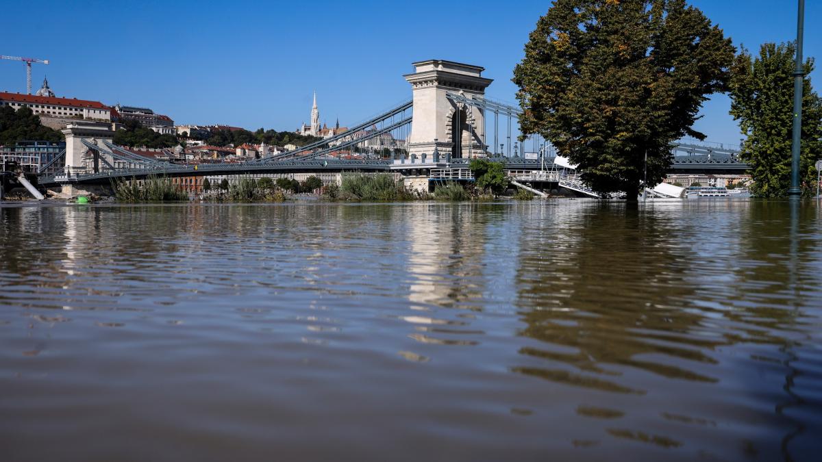 budapesta_2__03320800
