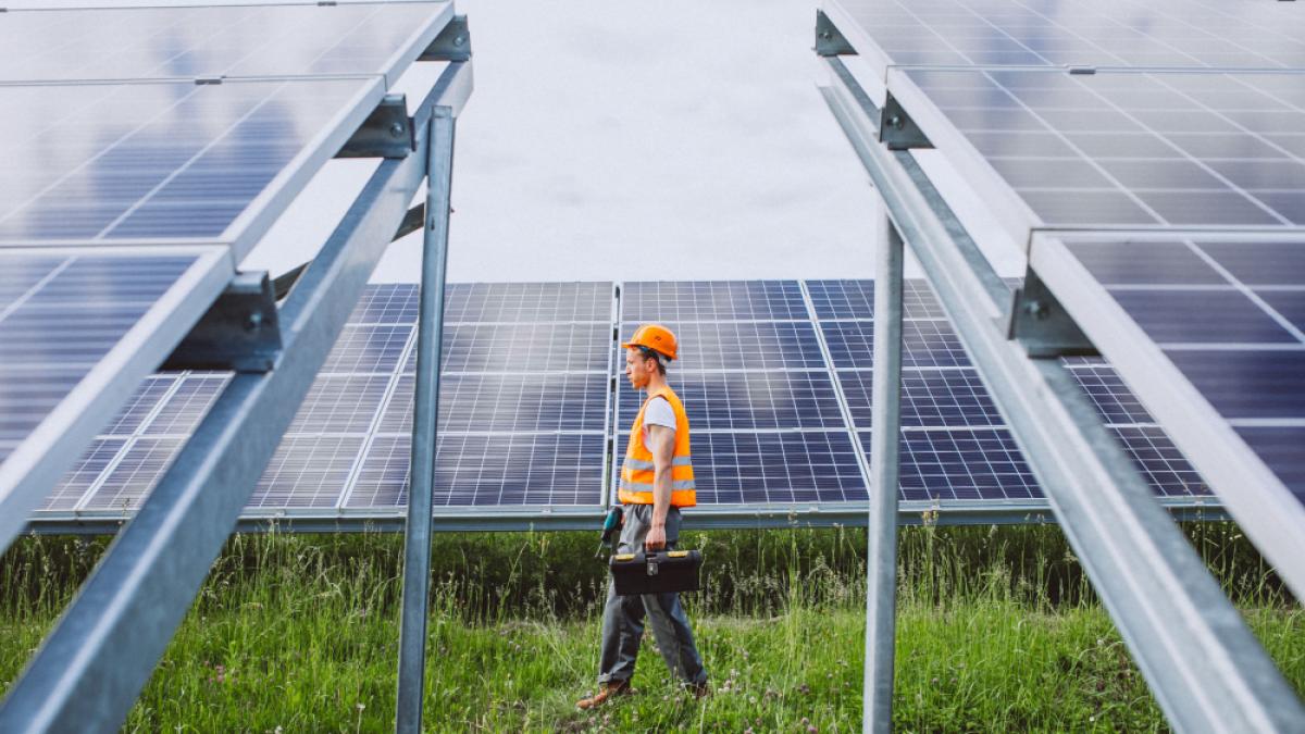man-worker-firld-by-solar-panels_45310700