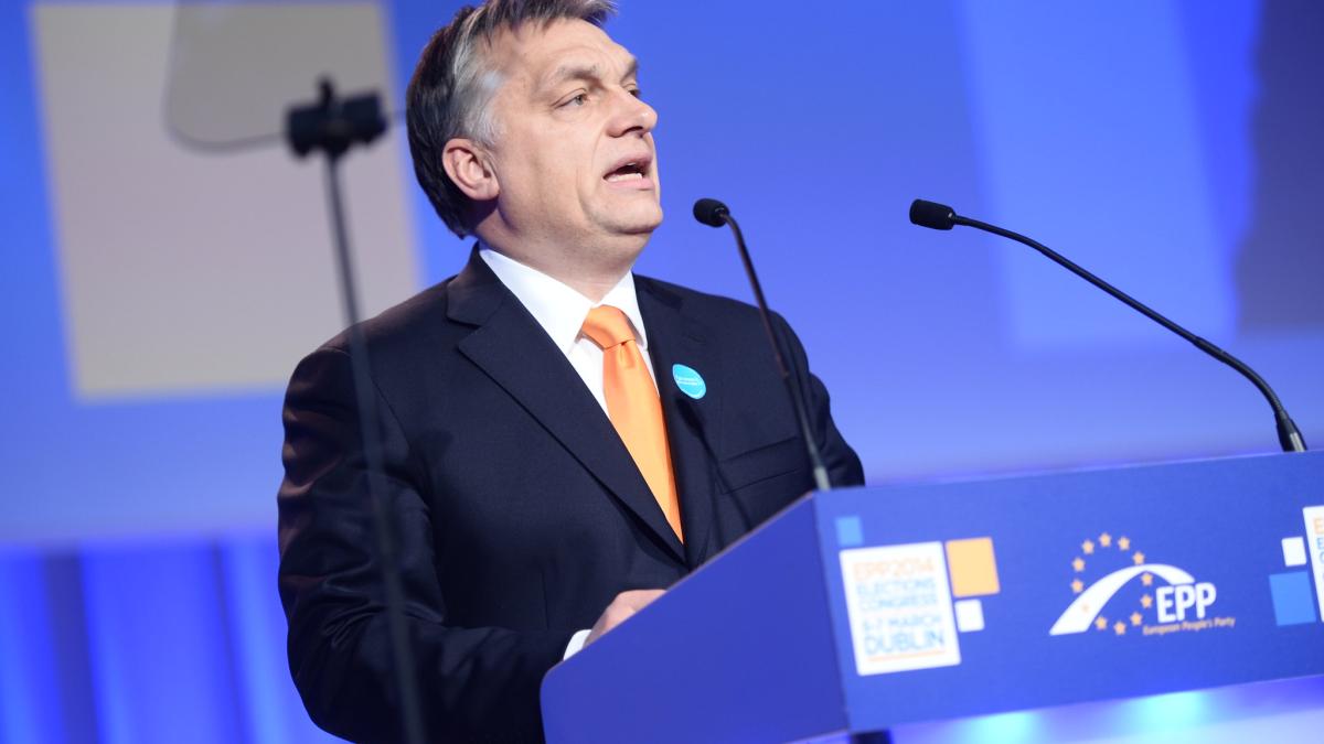 13582196114_3fd50a6041_k_87790400