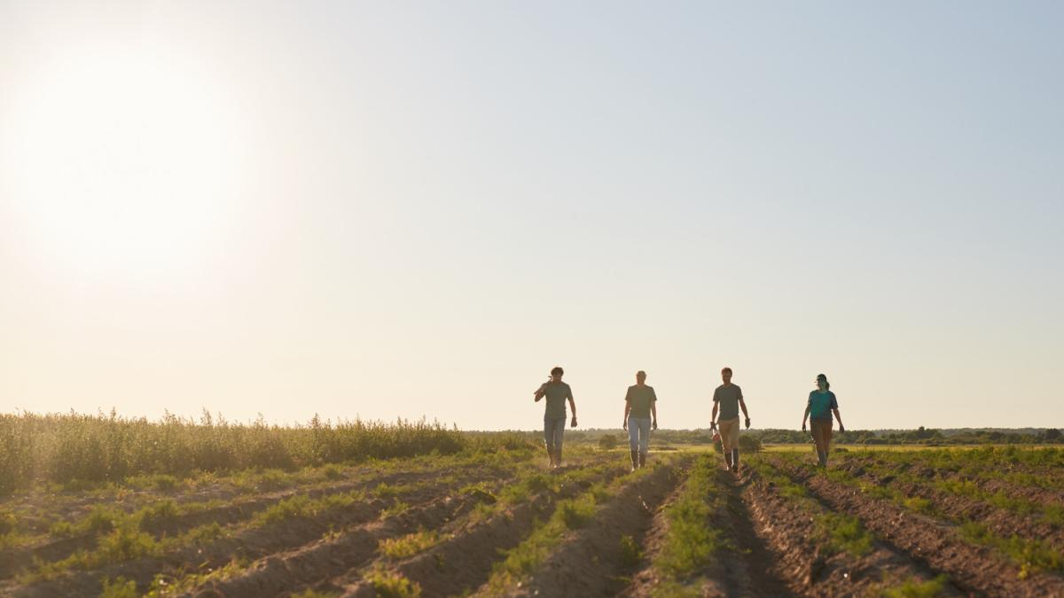 România își vinde terenurile agricole! Fondurile și taxele pleacă în străinătate, avertizează Dragoș Frumosu