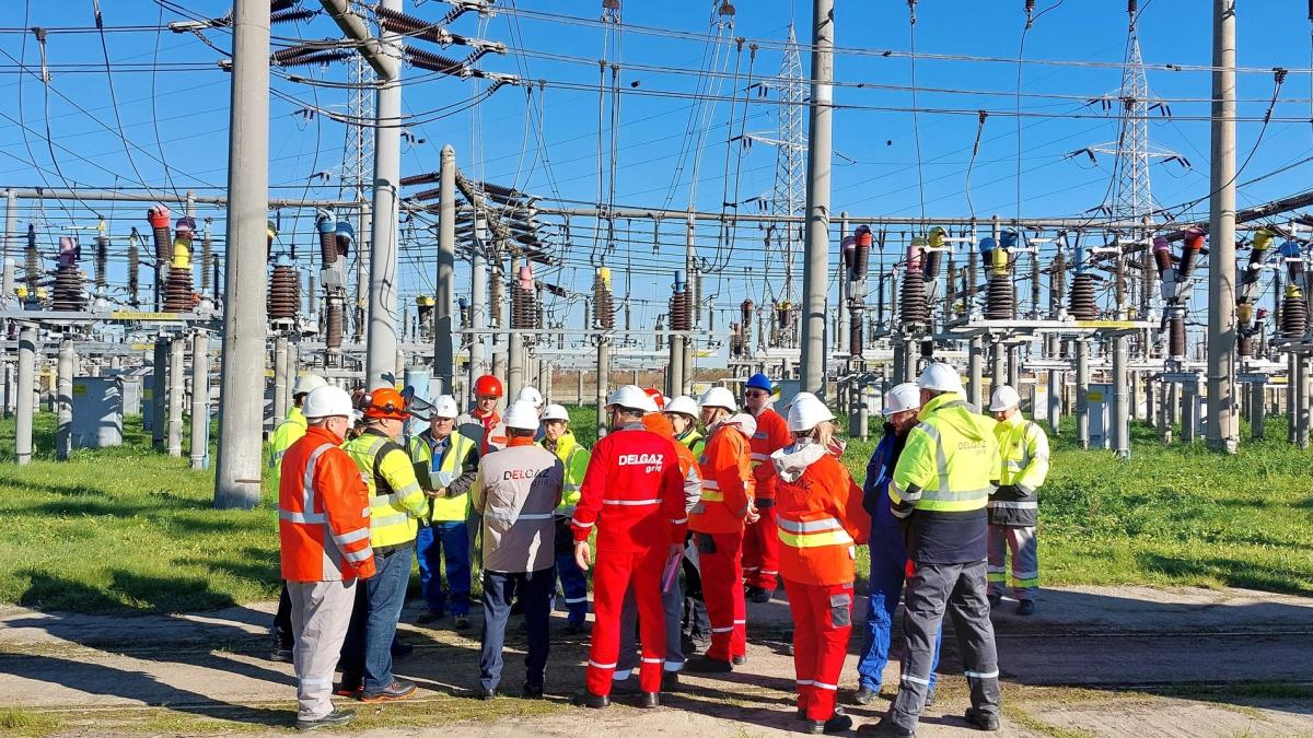 delgaz-grid_70377200