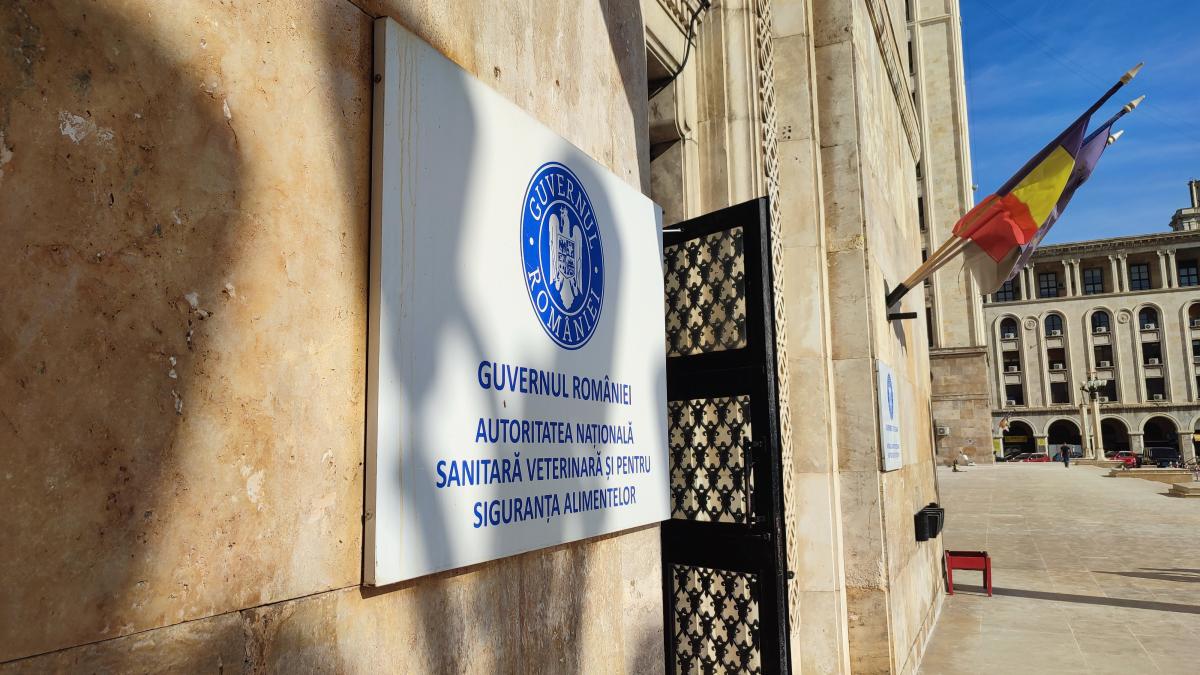 img_20241031_115319_30011100