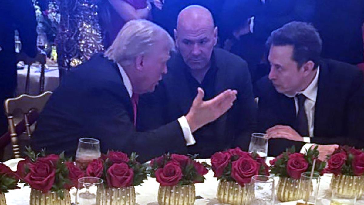 trump--musk_57264200