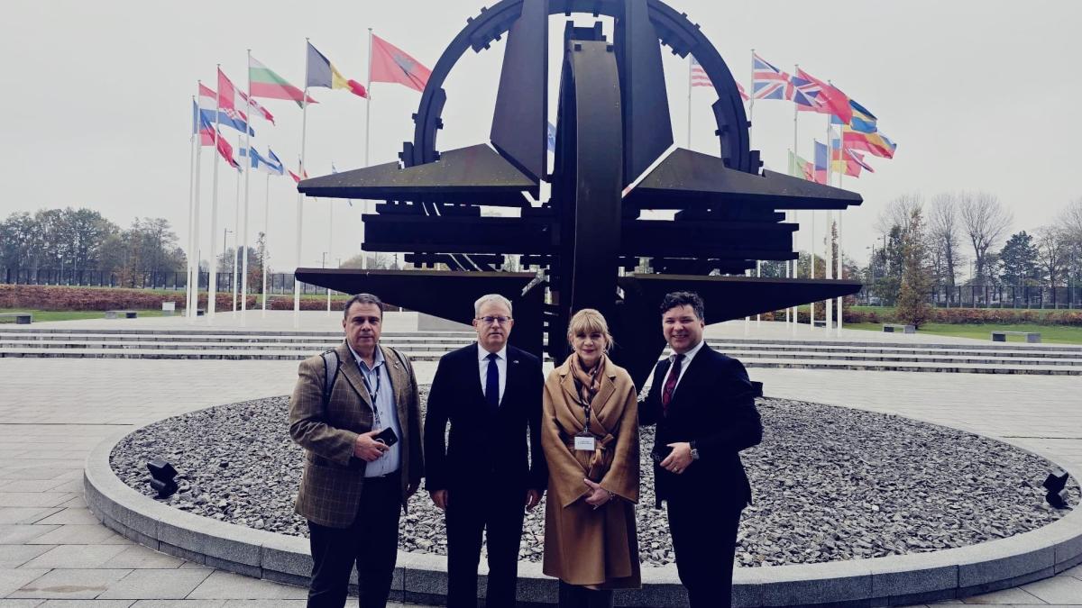 savoiu-nato_99807800