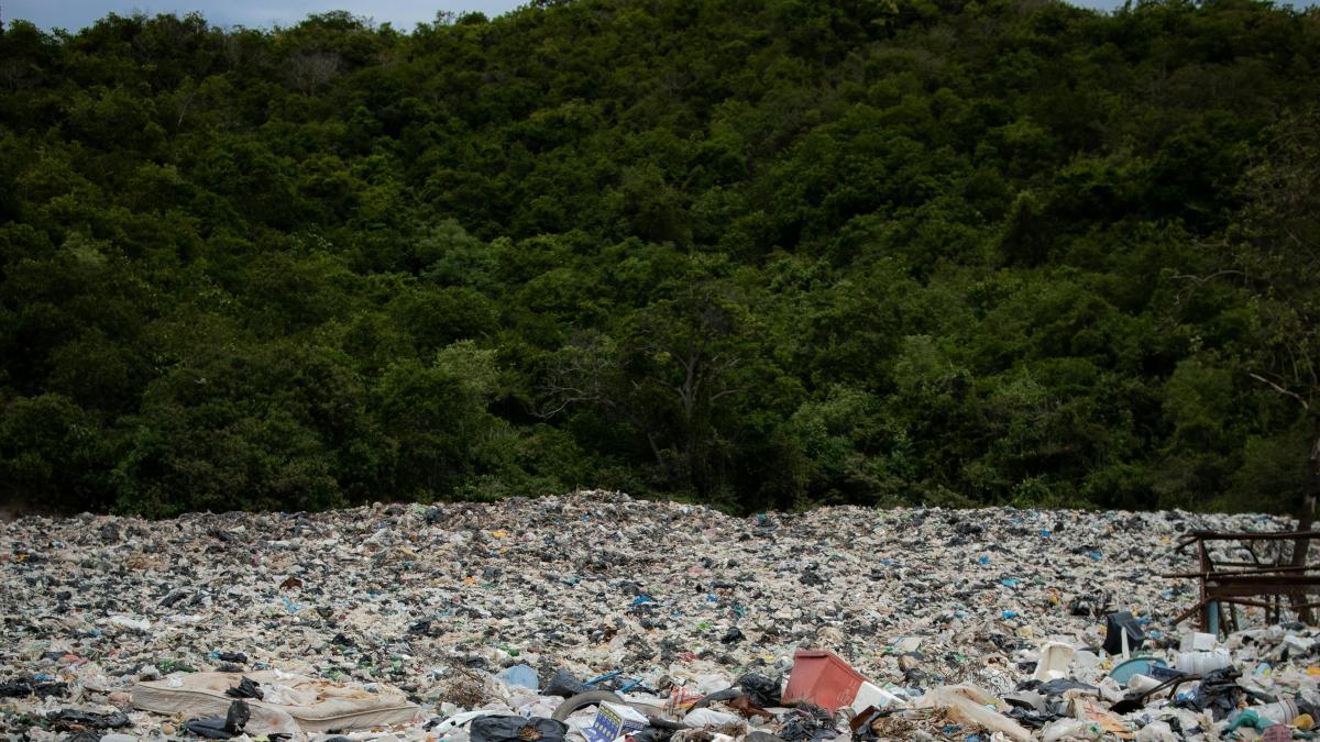 poluare-plastic_41589400