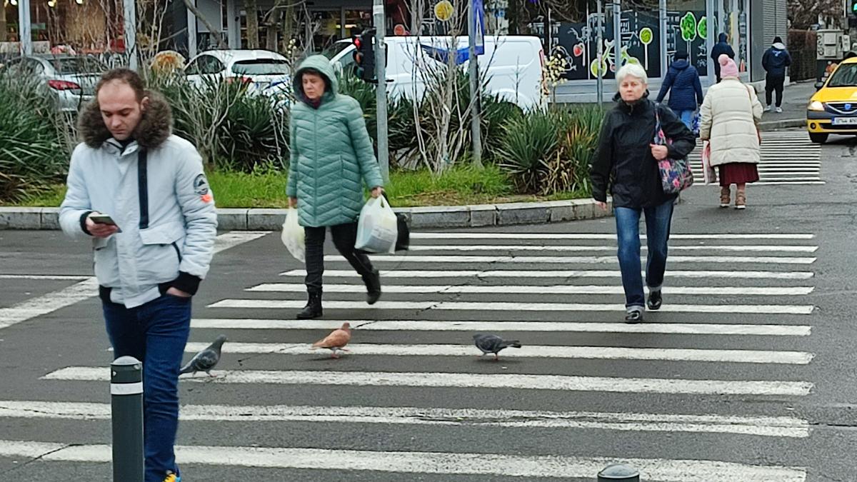 O economie găunoasă! Adrian Negrescu: Programele de guvernare, niște culegeri de bune intenții 