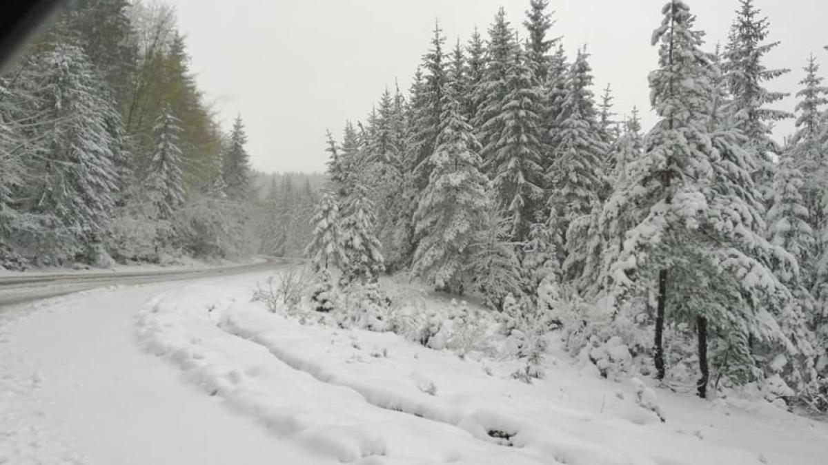 ninsoare_in_judetul_suceava_1_82957100