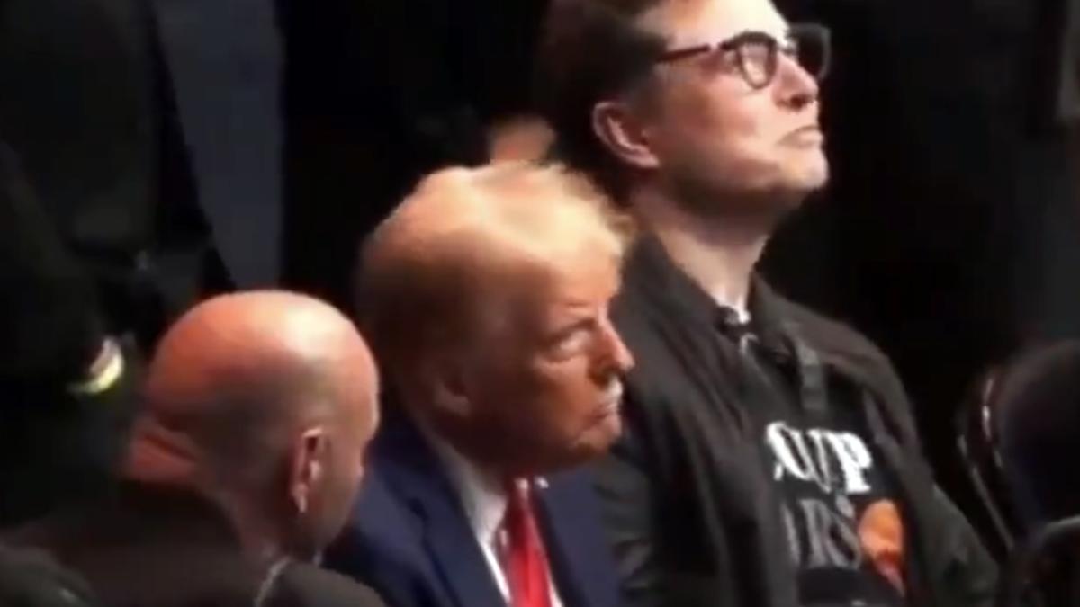 donald-trump-elon-musk_02465600