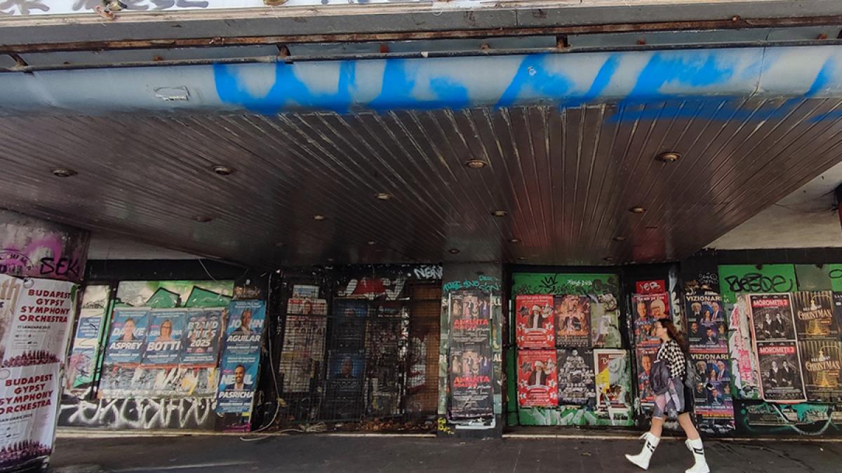 firme-radiate_17384000