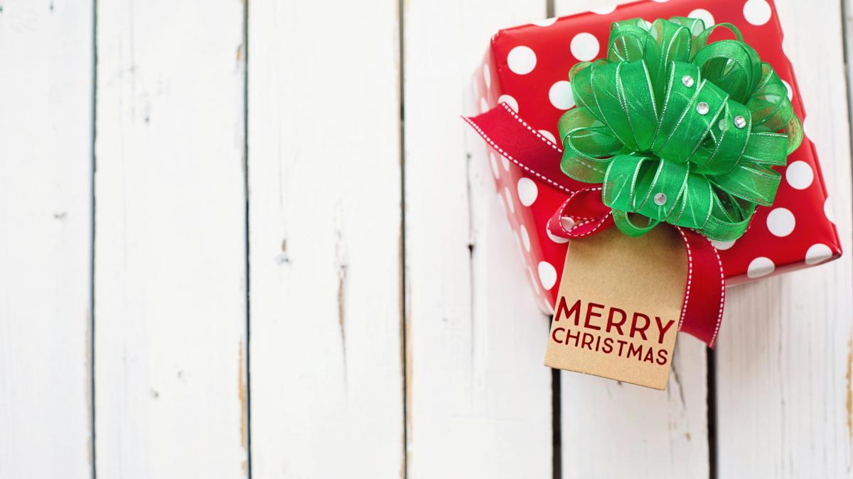 pexels-jill-wellington-1638660-3309749_11356000