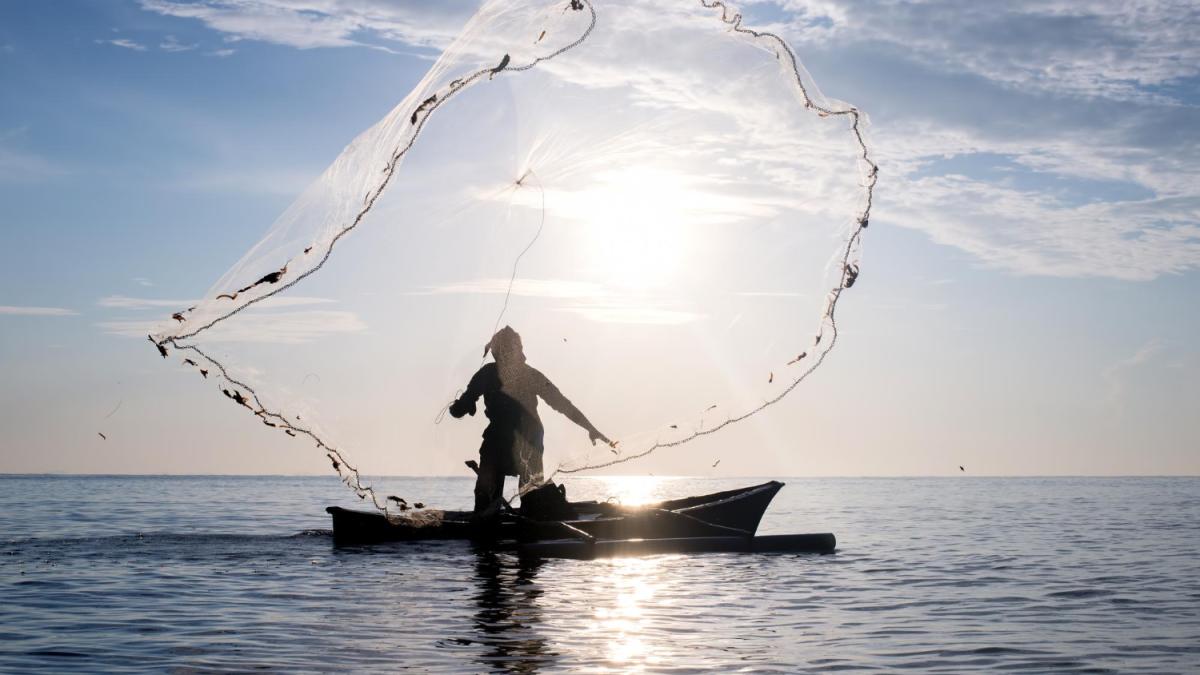 pescar-navod_90308200