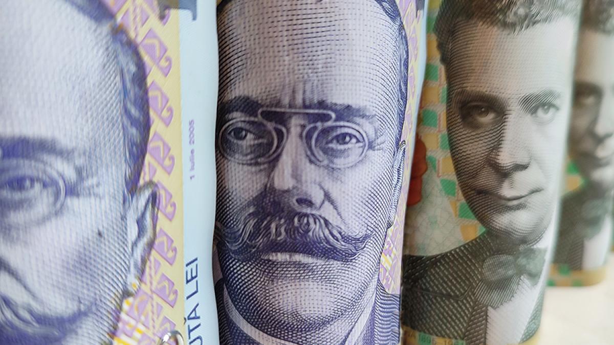 bani-lei-bancnote_82238500