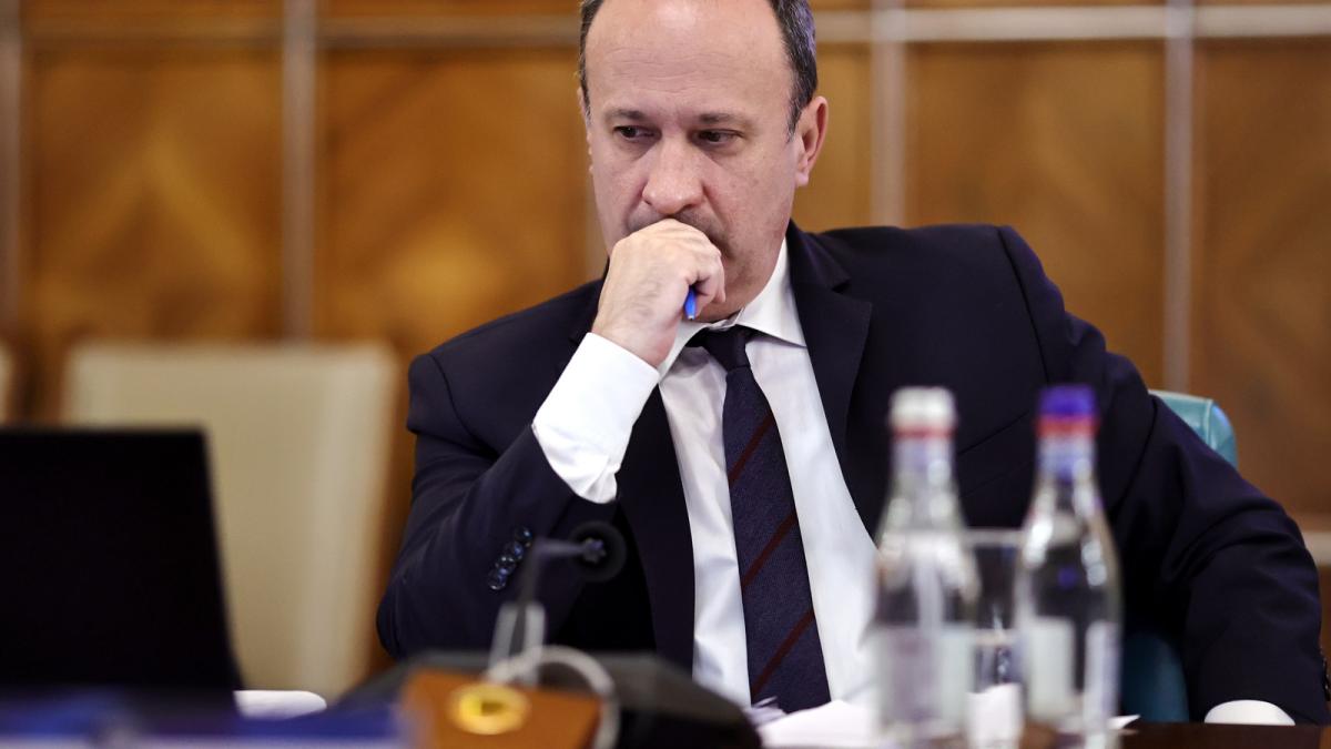 caciu-ganditor_42205600