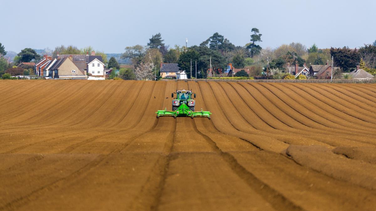 teren-agricol_16360600