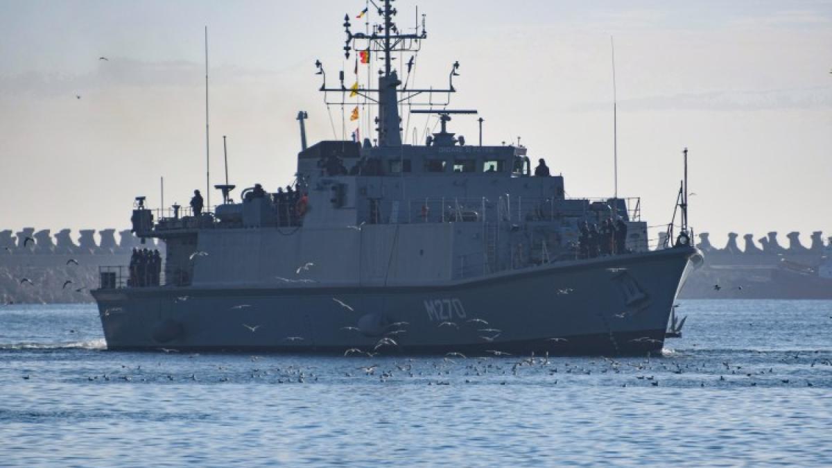 vanator-de-mine_05545400