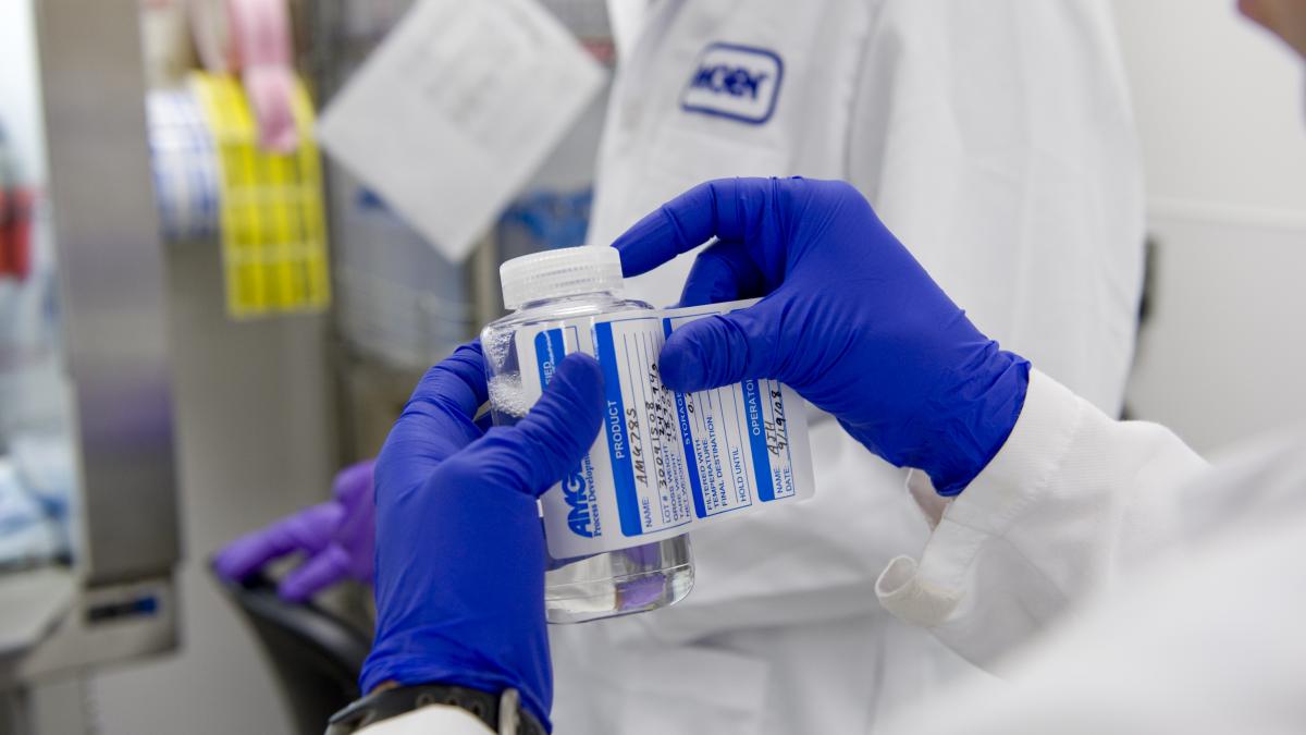 pilot_plant_to_234_73458800