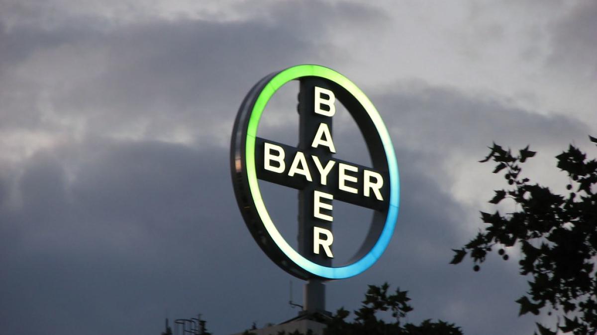 bayer_71650800