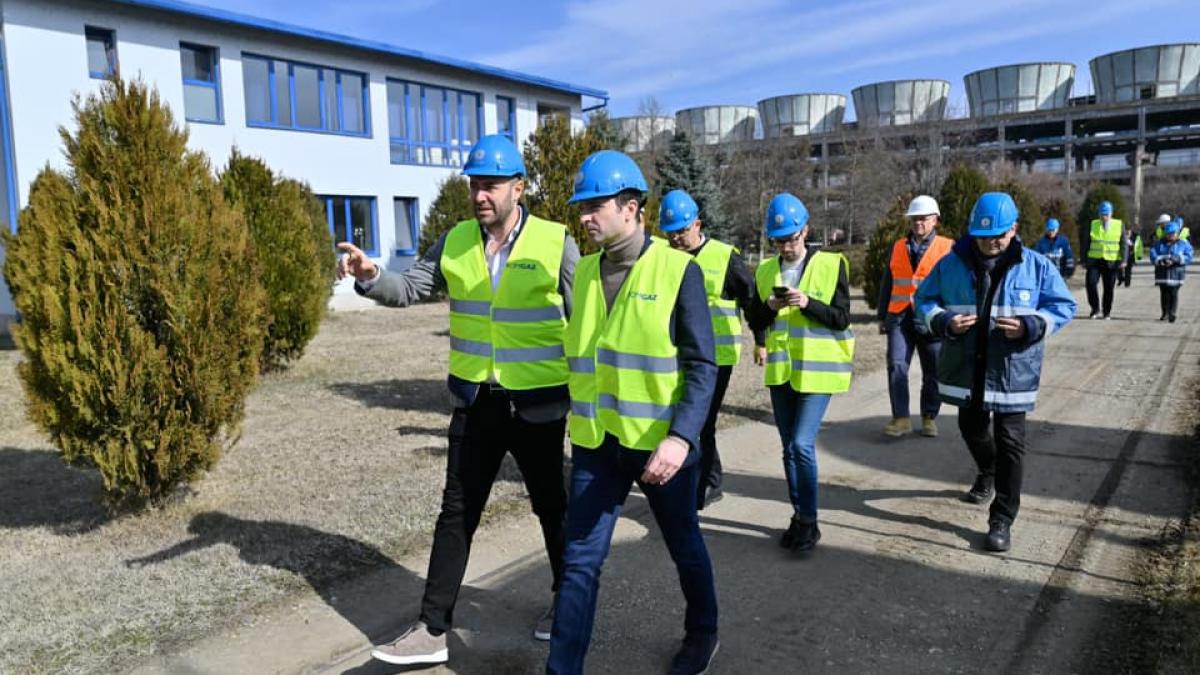 burduja-iernut_94067400