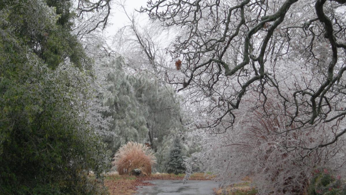 ice-storm-2007-1381365_19474300