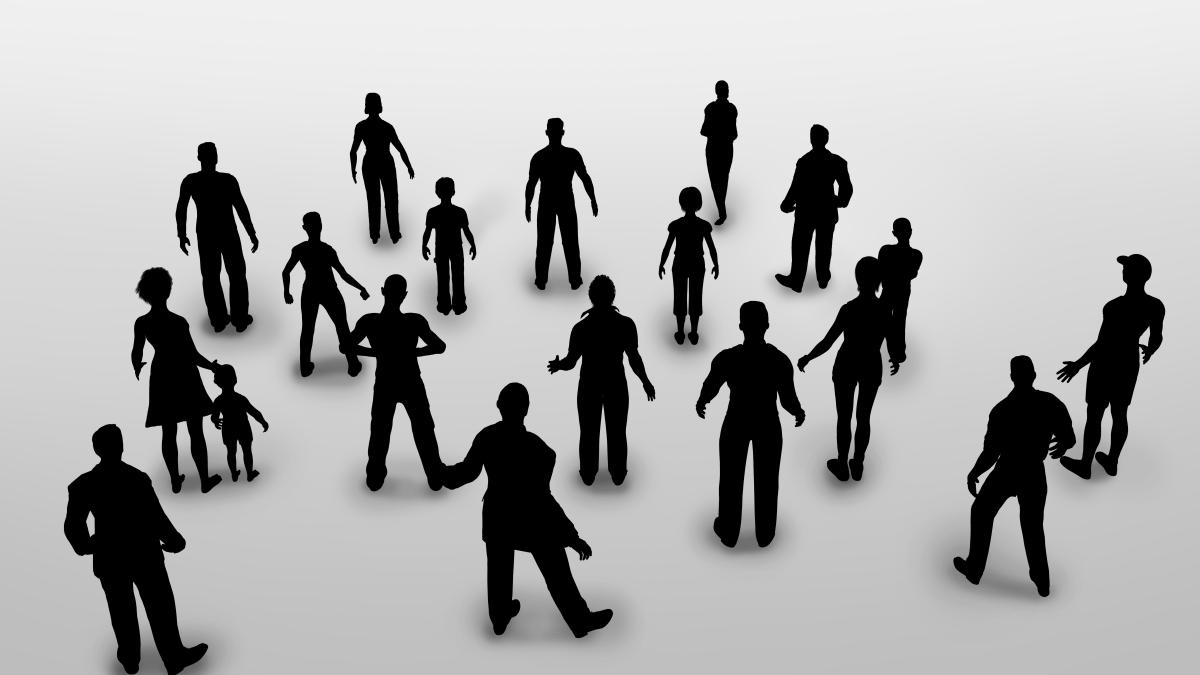 black-ragdoll_11348100