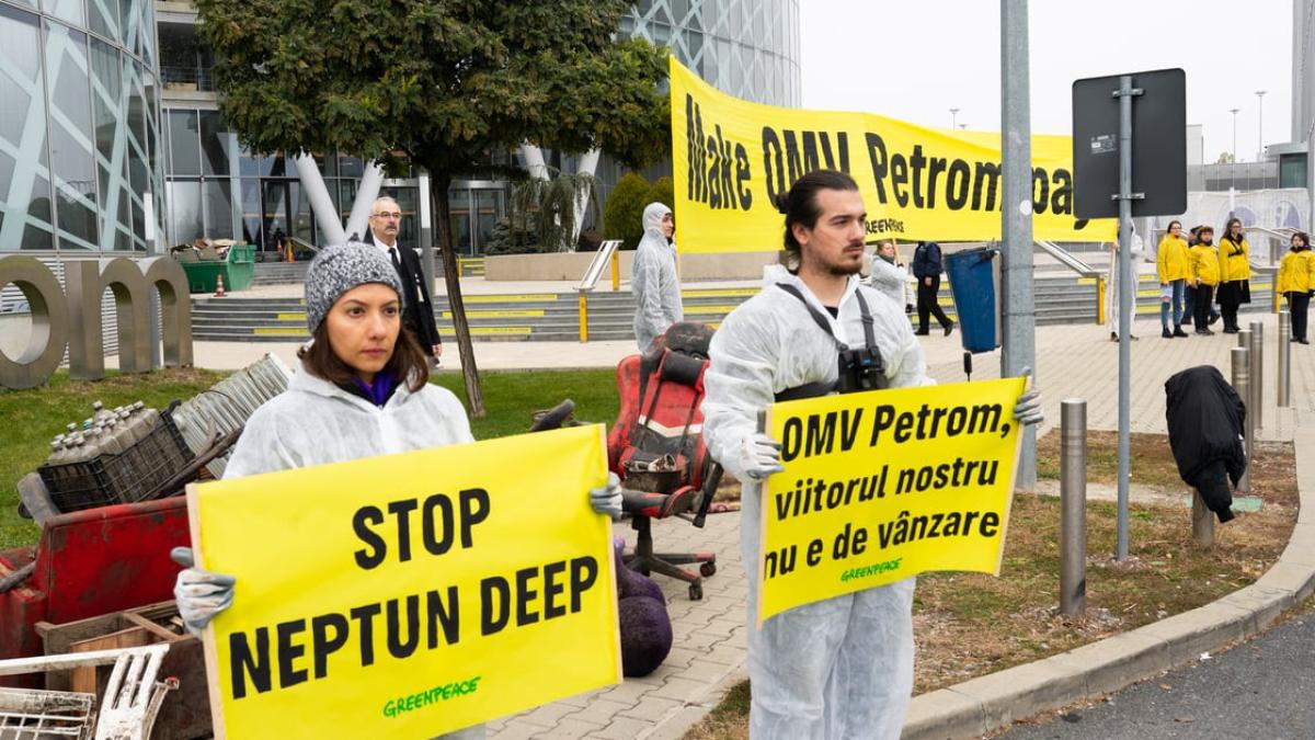 greenpeace-cap_70998000