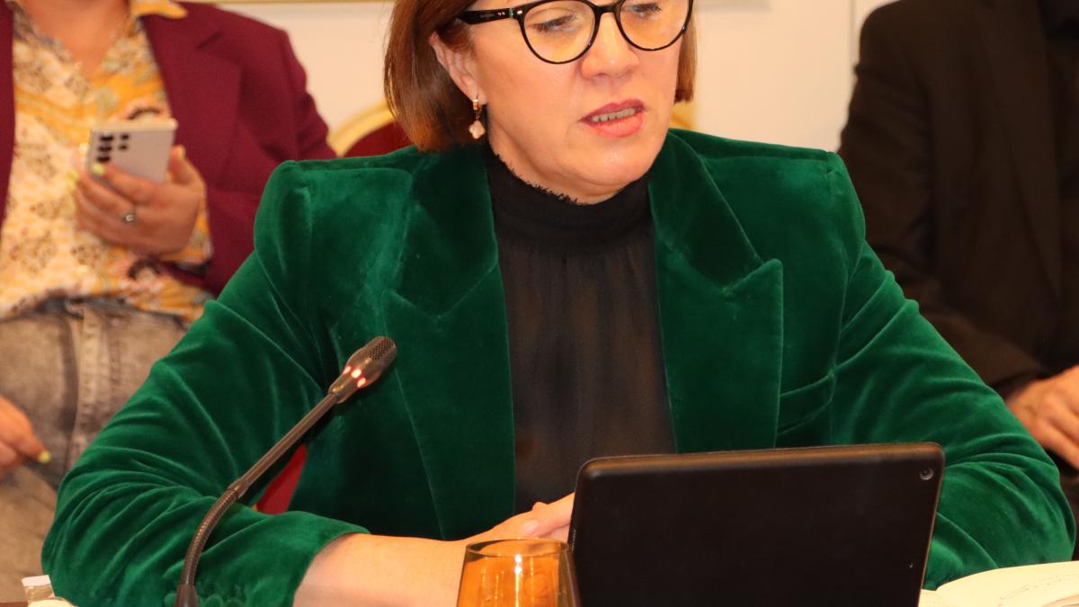 Daniela Dărăban (ACUE): Condiţia esenţială pentru a avea preţuri sustenabile la energie