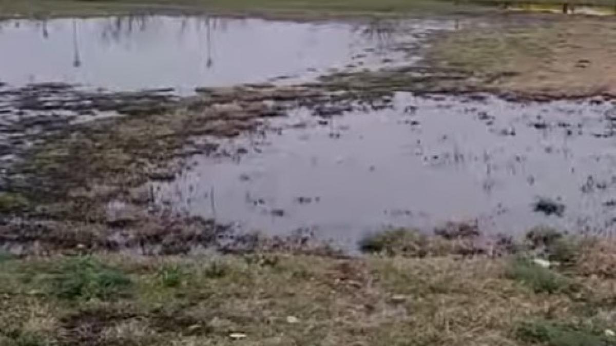 conpet-polare_25833600