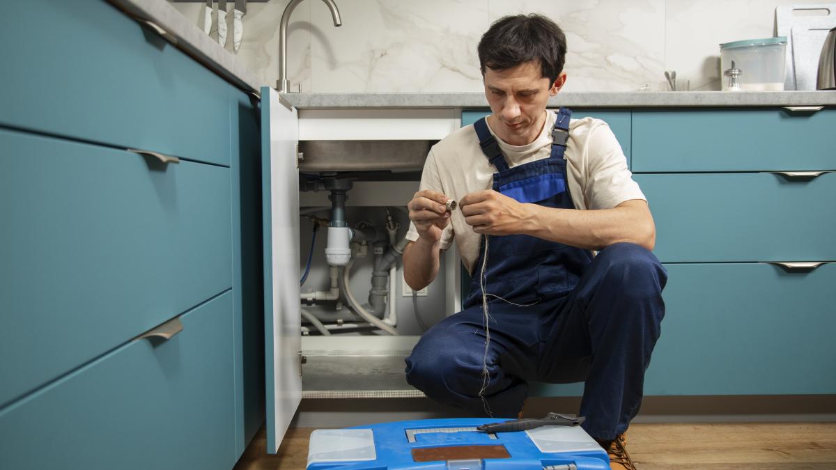 Tichetul prestatorului casnic: Valoare, cum se obține, câți bani oprește statul