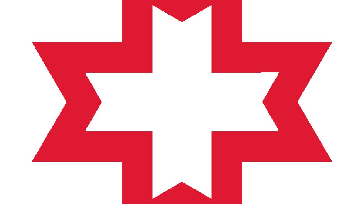 logo-regina-maria_48911700