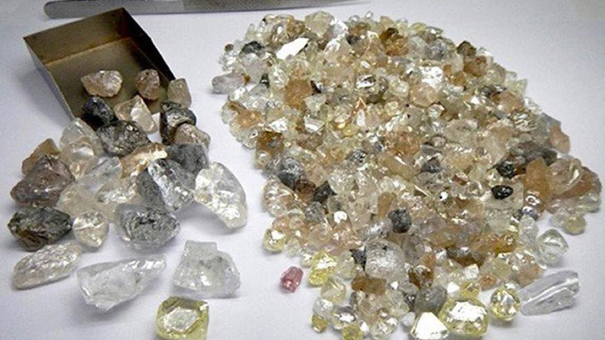 471445371_1269044478121741_1464294257402918407_n_40198200