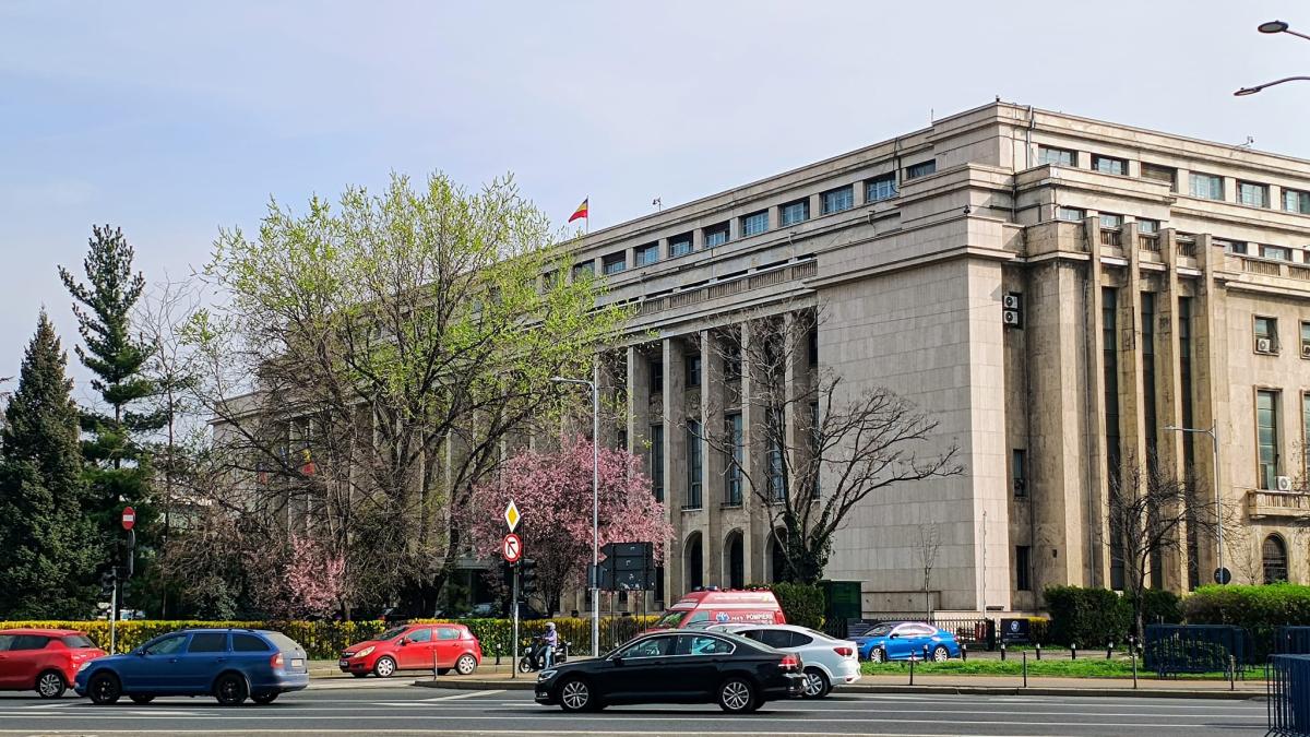 whatsapp-image-2025-03-26-at-01-21-18-2_36664800