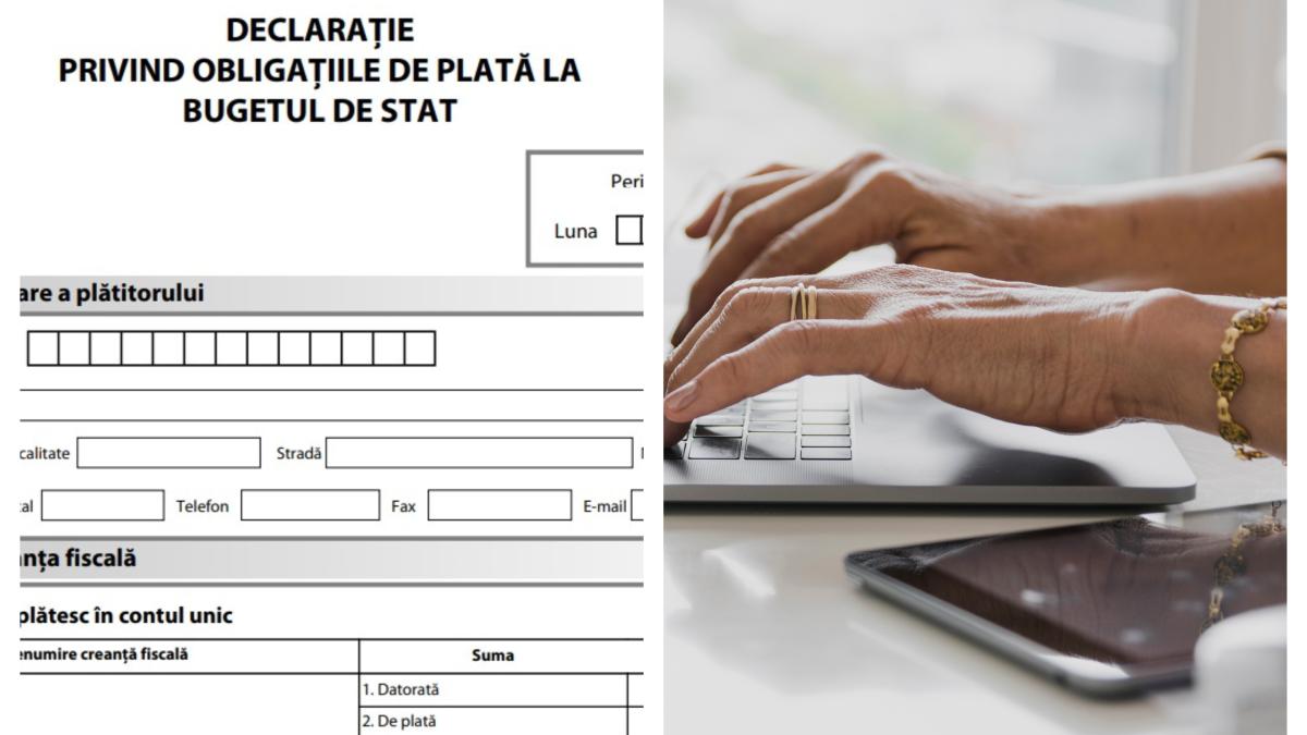 declaratia-100_84746300