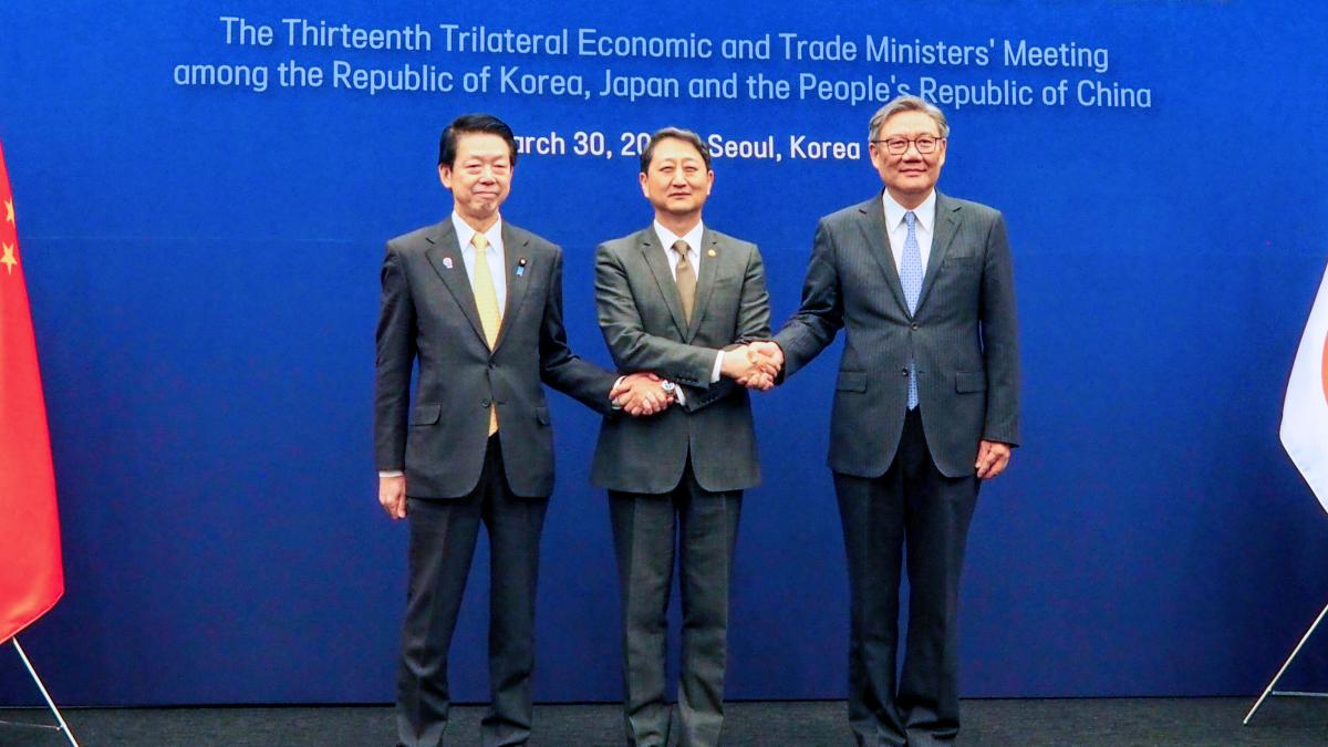 trilaterala_04795800