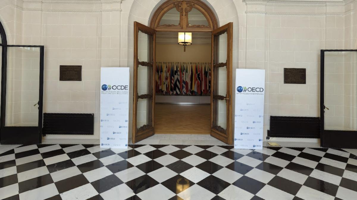 oecd-copy_08772300