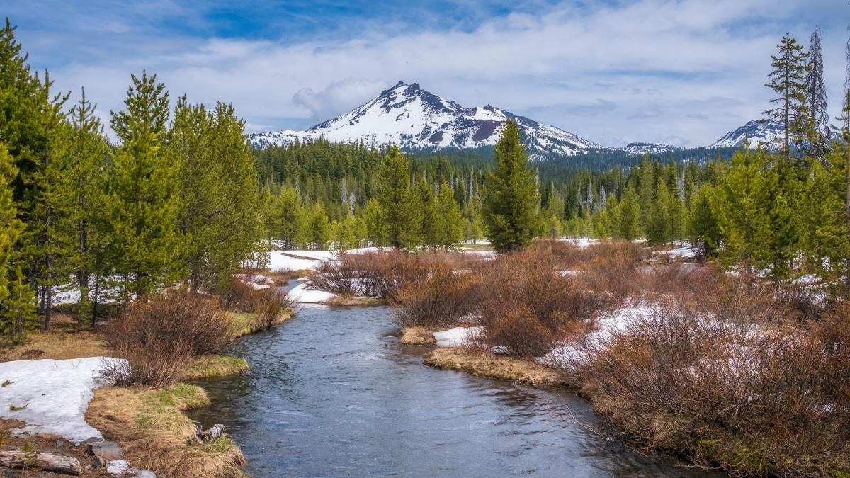 mesmerizing-shot-beautiful-snowy-rocky-park_83741700